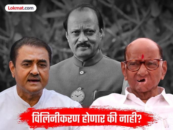 Will both the nationalist parties merge or not? Praful Patel's big statement in Delhi, his position presented for the first time | दोन्ही राष्ट्रवादींचे विलिनीकरण होणार की नाही? प्रफुल पटेलांचं दिल्लीत मोठं विधान, पहिल्यांदाच मांडली भूमिका Will both the nationalist parties merge or not? Praful Patel's big statement in Delhi, his position presented for the first time | दोन्ही राष्ट्रवादींचे विलिनीकरण होणार की नाही? प्रफुल पटेलांचं दिल्लीत मोठं विधान, पहिल्यांदाच मांडली भूमिका