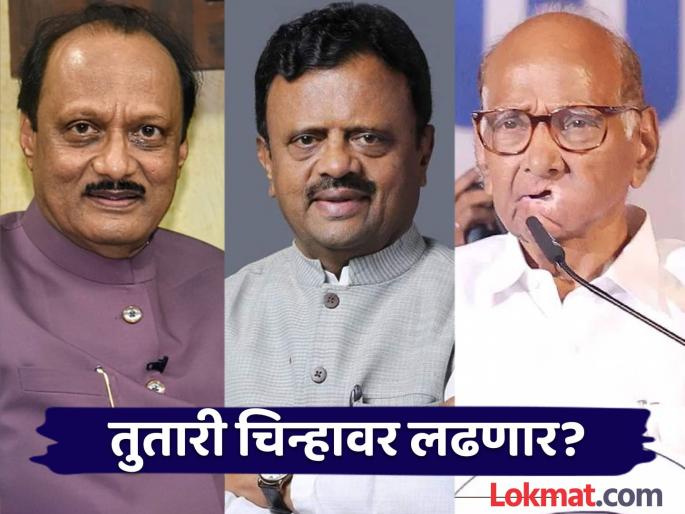 Maharashtra Assembly Election 2024 MLA Dr. Rajendra Shingane will join the Nationalist Sharad Chandra Pawar party | Maharashtra Assembly Election 2024 : 'एक महिन्यापासून अजितदादांसोबत बोललो नाही'; राजेंद्र शिंगणे मोठा निर्णय घेणार? दिले स्पष्ट संकेत Maharashtra Assembly Election 2024 MLA Dr. Rajendra Shingane will join the Nationalist Sharad Chandra Pawar party | Maharashtra Assembly Election 2024 : 'एक महिन्यापासून अजितदादांसोबत बोललो नाही'; राजेंद्र शिंगणे मोठा निर्णय घेणार? दिले स्पष्ट संकेत