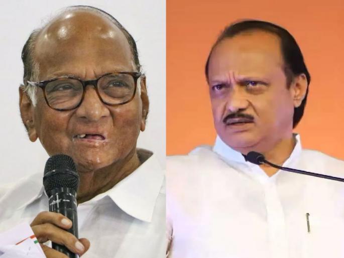 Why unconditional support for BJP in 2014? Ajit Pawar does not understand politics: Sharad Pawar | 2014 ला भाजपला बिनशर्त पाठिंबा का? अजित पवारांना राजकारण कळलेच नाही : शरद पवार Why unconditional support for BJP in 2014? Ajit Pawar does not understand politics: Sharad Pawar | 2014 ला भाजपला बिनशर्त पाठिंबा का? अजित पवारांना राजकारण कळलेच नाही : शरद पवार
