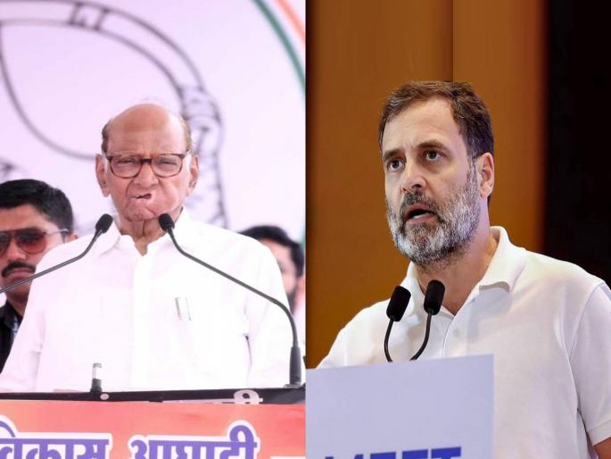 bjp slams rahul gandhi and sharad pawar over not participate in ashadhi wari 2024 | “वारीतील भगव्या पताक्याचा राहुल गांधी अन् शरद पवारांना इतका द्वेष का?” भाजपाचा सवाल bjp slams rahul gandhi and sharad pawar over not participate in ashadhi wari 2024 | “वारीतील भगव्या पताक्याचा राहुल गांधी अन् शरद पवारांना इतका द्वेष का?” भाजपाचा सवाल