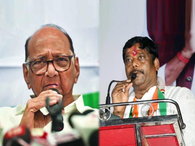 ncp sharad pawar said not confident about ravindra dhangekar victory in kasba bypoll election | Maharashtra Politics: “कसब्यात रवींद्र धंगेकर विजयी होतील याची खात्री नव्हती”; शरद पवारांनी सांगितली ‘मन की बात’ ncp sharad pawar said not confident about ravindra dhangekar victory in kasba bypoll election | Maharashtra Politics: “कसब्यात रवींद्र धंगेकर विजयी होतील याची खात्री नव्हती”; शरद पवारांनी सांगितली ‘मन की बात’