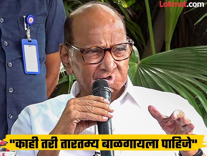 Sharad Pawar got angry after being asked what his personal stance was on joining BJP | 'हा जावई शोध तुम्ही कुठून लावला?', शरद पवारांचा पत्रकार परिषदेत चढला पारा Sharad Pawar got angry after being asked what his personal stance was on joining BJP | 'हा जावई शोध तुम्ही कुठून लावला?', शरद पवारांचा पत्रकार परिषदेत चढला पारा