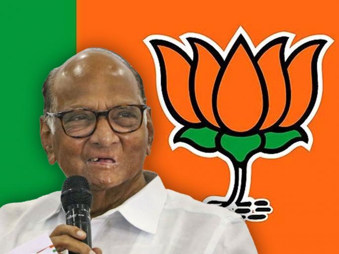 Sharad Pawars preparations for the Legislative Assembly have started Before Lok Sabha results Former BJP MLA met pawar | लोकसभेच्या निकालाआधीच पवारांकडून विधानसभेची तयारी सुरू?; भाजपच्या माजी आमदाराने घेतली भेट Sharad Pawars preparations for the Legislative Assembly have started Before Lok Sabha results Former BJP MLA met pawar | लोकसभेच्या निकालाआधीच पवारांकडून विधानसभेची तयारी सुरू?; भाजपच्या माजी आमदाराने घेतली भेट