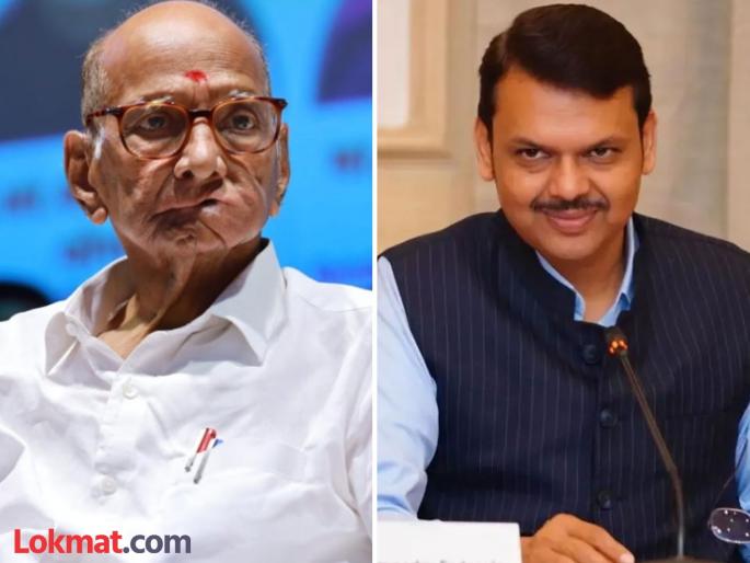 Maharashtra assembly vidhan sabha election 2024 A chance for an experienced face from BJP against sharad Pawars young candidate | आष्टीत चुरशीची लढाई होणार: पवारांच्या तरुण शिलेदाराविरोधात भाजपकडून अनुभवी चेहऱ्याला संधी Maharashtra assembly vidhan sabha election 2024 A chance for an experienced face from BJP against sharad Pawars young candidate | आष्टीत चुरशीची लढाई होणार: पवारांच्या तरुण शिलेदाराविरोधात भाजपकडून अनुभवी चेहऱ्याला संधी