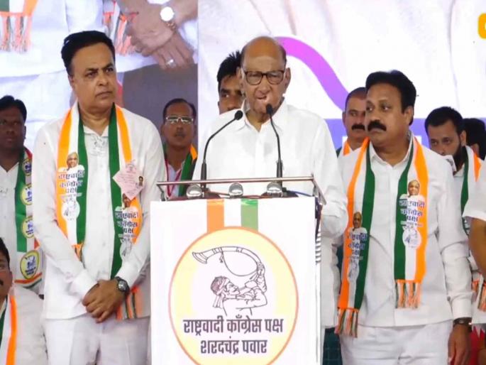 Sharad Pawar criticized the Mahayuti government over the Ladki Bahin Yojana | "सरकार बहिणींना १५०० रुपये देणार पण त्यांची अब्रू..."; धुळ्यात शरद पवारांचा महायुतीवर निशाणा Sharad Pawar criticized the Mahayuti government over the Ladki Bahin Yojana | "सरकार बहिणींना १५०० रुपये देणार पण त्यांची अब्रू..."; धुळ्यात शरद पवारांचा महायुतीवर निशाणा