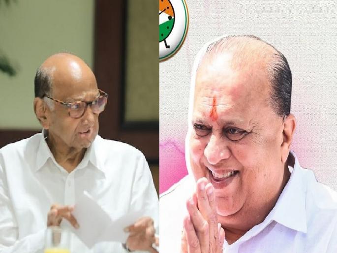 Kagal vidhan sabha assembly election result 2024 Hasan Mushrif Damdar in Kagal, sixth consecutive MLA; Sharad Pawar's plot failed | Kagal vidhan sabha assembly election result 2024: कागलमध्ये हसन मुश्रीफच दमदार, सलग सहाव्यांदा आमदार; वस्तादांचा डाव फेल Kagal vidhan sabha assembly election result 2024 Hasan Mushrif Damdar in Kagal, sixth consecutive MLA; Sharad Pawar's plot failed | Kagal vidhan sabha assembly election result 2024: कागलमध्ये हसन मुश्रीफच दमदार, सलग सहाव्यांदा आमदार; वस्तादांचा डाव फेल