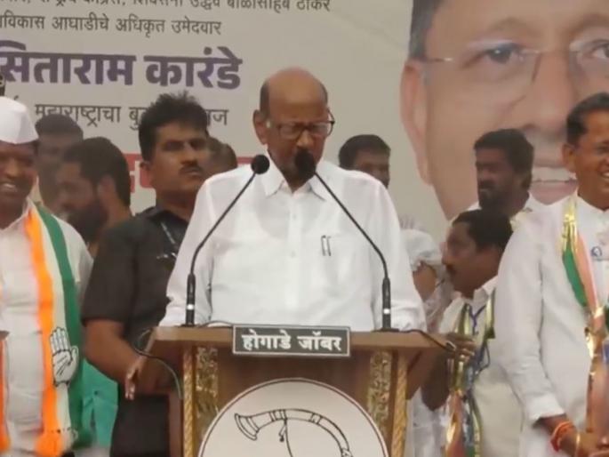 Maharashtra Assembly Election 2024 - It started raining during the speech, the election results will be good, Sharad Pawar statement | भाषण करताना सुरू झाला पाऊस, निवडणुकीचा निकाल चांगला लागणार, शरद पवारांचं विधान Maharashtra Assembly Election 2024 - It started raining during the speech, the election results will be good, Sharad Pawar statement | भाषण करताना सुरू झाला पाऊस, निवडणुकीचा निकाल चांगला लागणार, शरद पवारांचं विधान