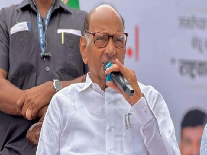 ncp Sharad Pawars candidate meeting decided to start a protest against EVMs | विधानसभेत EVM ने केला घात?; शरद पवारांच्या पक्षाच्या बैठकीत सूर; मोठं आंदोलन उभारणार! ncp Sharad Pawars candidate meeting decided to start a protest against EVMs | विधानसभेत EVM ने केला घात?; शरद पवारांच्या पक्षाच्या बैठकीत सूर; मोठं आंदोलन उभारणार!