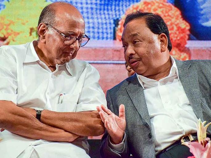 "I didn't know that Narayan Rane was joking," sharad pawar taunt narayan rane over his statement | "नारायण राणे विनोद करतात, हे मला माहीत नव्हतं", शरद पवारांचा खोचक टोला "I didn't know that Narayan Rane was joking," sharad pawar taunt narayan rane over his statement | "नारायण राणे विनोद करतात, हे मला माहीत नव्हतं", शरद पवारांचा खोचक टोला