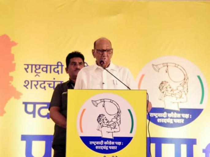 sharad pawar criticized state govt over caste based committee and hyderabad reservation gazette decision | “महाराष्ट्रात सामाजिक वीण उसवतेय, समाजात कटूता निर्माण होणारे निर्णय घेतले जातायत”: शरद पवार sharad pawar criticized state govt over caste based committee and hyderabad reservation gazette decision | “महाराष्ट्रात सामाजिक वीण उसवतेय, समाजात कटूता निर्माण होणारे निर्णय घेतले जातायत”: शरद पवार