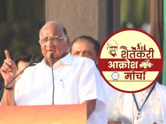 NCP attacked the government on farmers' issues; Announcement of farmers protest march | शेतकऱ्यांच्या प्रश्नांवरून राष्ट्रवादीचा सरकारविरोधात हल्लाबोल; शेतकरी आक्रोश मोर्चाची घोषणा NCP attacked the government on farmers' issues; Announcement of farmers protest march | शेतकऱ्यांच्या प्रश्नांवरून राष्ट्रवादीचा सरकारविरोधात हल्लाबोल; शेतकरी आक्रोश मोर्चाची घोषणा