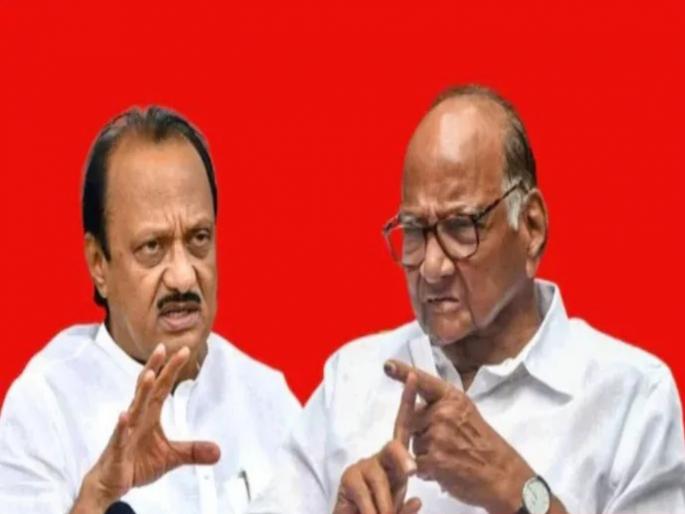 Rebellion in most places in Pune; In 8 out of 21 constituencies, the real fight will be between Pawar and Pawar | पुण्यात बहुतांश ठिकाणी बंडखोरी; २१ पैकी ८ मतदारसंघांत खरी लढत पवार विरुद्ध पवारच होणार Rebellion in most places in Pune; In 8 out of 21 constituencies, the real fight will be between Pawar and Pawar | पुण्यात बहुतांश ठिकाणी बंडखोरी; २१ पैकी ८ मतदारसंघांत खरी लढत पवार विरुद्ध पवारच होणार