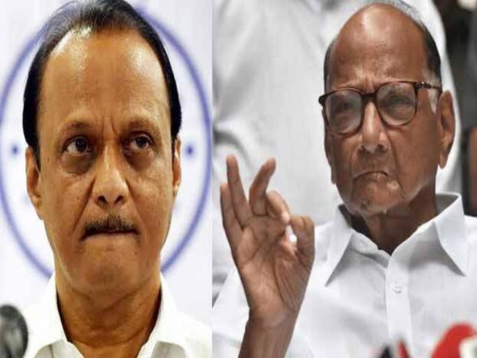 The present discussion is of no importance at all Sharad Pawar spoke clearly on the discussion of Ajit Dad's entry into the BJP | सध्याच्या चर्चेला अजिबात महत्व नाही; अजितदादांच्या भाजप प्रवेशाच्या चर्चेवर शरद पवार स्पष्टच बोलले The present discussion is of no importance at all Sharad Pawar spoke clearly on the discussion of Ajit Dad's entry into the BJP | सध्याच्या चर्चेला अजिबात महत्व नाही; अजितदादांच्या भाजप प्रवेशाच्या चर्चेवर शरद पवार स्पष्टच बोलले