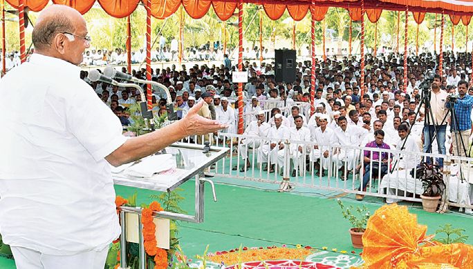 Do not worry about the results of the Lok Sabha, prepare for the assembly : Sharad Pawar | लोकसभेच्या निकालाने खचून नका, विधानसभेच्या तयारीला लागा Do not worry about the results of the Lok Sabha, prepare for the assembly : Sharad Pawar | लोकसभेच्या निकालाने खचून नका, विधानसभेच्या तयारीला लागा