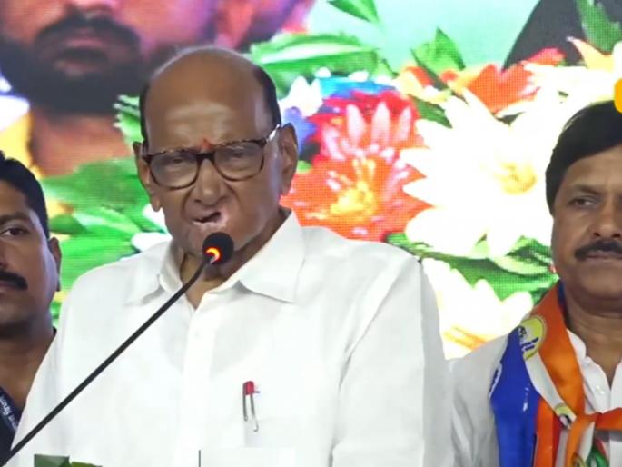 Everyone should come together and end the bullying in Parli, defeat the power grabbers, Sharad Pawar targets Dhananjay Munde | सत्ता डोक्यात गेलेल्यांचा पराभव करून परळीतील गुंडगिरी संपवा; शरद पवारांचा हल्लाबोल Everyone should come together and end the bullying in Parli, defeat the power grabbers, Sharad Pawar targets Dhananjay Munde | सत्ता डोक्यात गेलेल्यांचा पराभव करून परळीतील गुंडगिरी संपवा; शरद पवारांचा हल्लाबोल