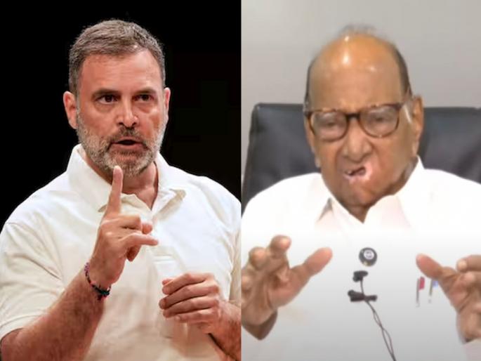 NCP SP Sharad Pawar's big statement on Rahul Gandhi's allegations of vote theft spoke clearly | "...ही चांगली गोष्ट नाही!"; राहुल गांधी यांच्या 'मत चोरी' संदर्भातील आरोपांवरून शरद पवार यांचं मोठं विधान, नेमकं काय म्हणाले? NCP SP Sharad Pawar's big statement on Rahul Gandhi's allegations of vote theft spoke clearly | "...ही चांगली गोष्ट नाही!"; राहुल गांधी यांच्या 'मत चोरी' संदर्भातील आरोपांवरून शरद पवार यांचं मोठं विधान, नेमकं काय म्हणाले?