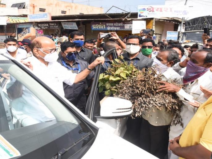 Unprecedented crisis in the state, these losses will not be compensated soon: Sharad Pawar | राज्यावर अभूतपूर्व संकट, हे नुकसान लवकर भरून न येणारे : शरद पवार Unprecedented crisis in the state, these losses will not be compensated soon: Sharad Pawar | राज्यावर अभूतपूर्व संकट, हे नुकसान लवकर भरून न येणारे : शरद पवार