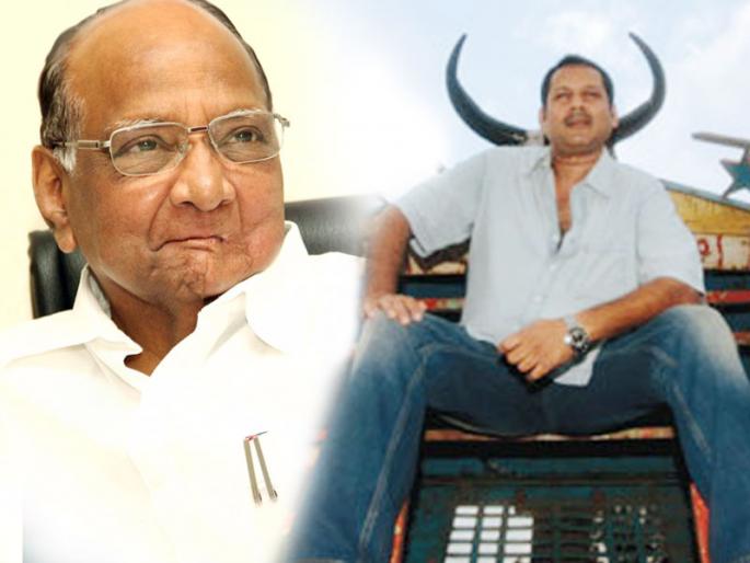 sharad pawar taunts udayanraje bhosale | 'मी आलो की कॉलर खाली येते'; उदयनराजेंच्या 'स्टाइल'वरून शरद पवारांचा चिमटा sharad pawar taunts udayanraje bhosale | 'मी आलो की कॉलर खाली येते'; उदयनराजेंच्या 'स्टाइल'वरून शरद पवारांचा चिमटा
