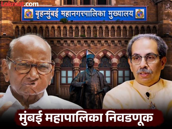 Sharad Pawar said, Uddhav Thackeray will have to be asked whether to join hands in the Mumbai Municipal Corporation elections or not | मुंबई महापालिकेची निवडणूक मविआ एकत्र लढणार की नाही? शरद पवार म्हणाले, "उद्धव ठाकरेंच्या शिवसेनेची..." Sharad Pawar said, Uddhav Thackeray will have to be asked whether to join hands in the Mumbai Municipal Corporation elections or not | मुंबई महापालिकेची निवडणूक मविआ एकत्र लढणार की नाही? शरद पवार म्हणाले, "उद्धव ठाकरेंच्या शिवसेनेची..."
