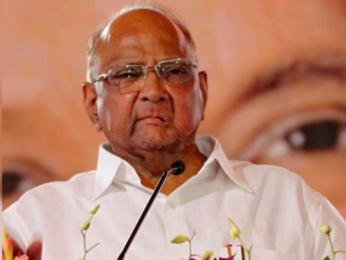 Maharashtra Assembly Election Result 2024: What is Sharad Pawar's exit poll number? Orders not to leave the counting station till the end to ncp Candidates | शरद पवारांचा एक्झिट पोलचा आकडा काय? शेवटपर्यंत मतमोजणी केंद्र न सोडण्याचे आदेश Maharashtra Assembly Election Result 2024: What is Sharad Pawar's exit poll number? Orders not to leave the counting station till the end to ncp Candidates | शरद पवारांचा एक्झिट पोलचा आकडा काय? शेवटपर्यंत मतमोजणी केंद्र न सोडण्याचे आदेश