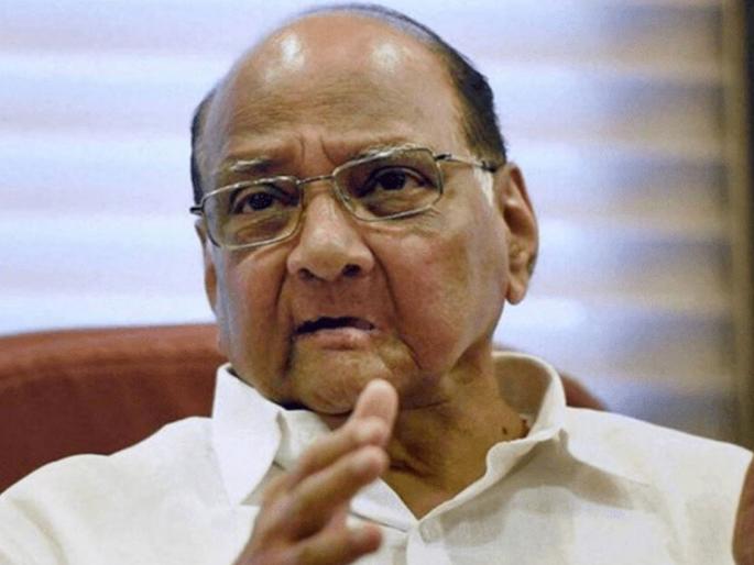 Even the farmer gives his bull a holiday, I have not once in 56 years; Sharad Pawar's challenge to Ajit pawar in Baramati | शेतकरी देखील आपल्या बैलाला सुट्टी देतो, मला ५६ वर्षांत एकदाही दिली नाही; शरद पवारांचे बारामतीत आव्हान Even the farmer gives his bull a holiday, I have not once in 56 years; Sharad Pawar's challenge to Ajit pawar in Baramati | शेतकरी देखील आपल्या बैलाला सुट्टी देतो, मला ५६ वर्षांत एकदाही दिली नाही; शरद पवारांचे बारामतीत आव्हान