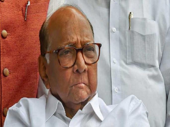 Sharad Pawar will be fortified in Nashik | नाशकात शरद पवारच करणार तटबंदी Sharad Pawar will be fortified in Nashik | नाशकात शरद पवारच करणार तटबंदी
