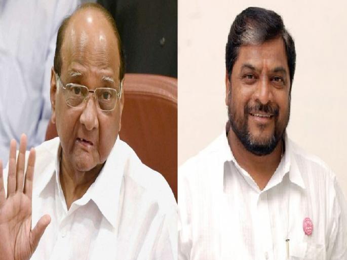 Sharad Pawar will dispel the misconception of Raju Shetty | शरद पवार राजू शेट्टींचा गैरसमज दूर करणार Sharad Pawar will dispel the misconception of Raju Shetty | शरद पवार राजू शेट्टींचा गैरसमज दूर करणार