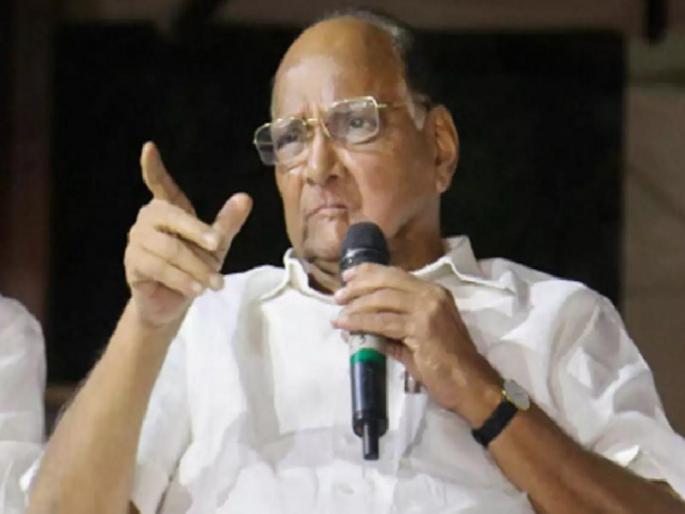 A solution suggested by Sharad Pawar on the postponement of Maratha reservation | ...तर कुणी आंदोलन करेल असं वाटत नाही; मराठा आरक्षण स्थगितीवर शरद पवारांनी सुचवला तोडगा A solution suggested by Sharad Pawar on the postponement of Maratha reservation | ...तर कुणी आंदोलन करेल असं वाटत नाही; मराठा आरक्षण स्थगितीवर शरद पवारांनी सुचवला तोडगा