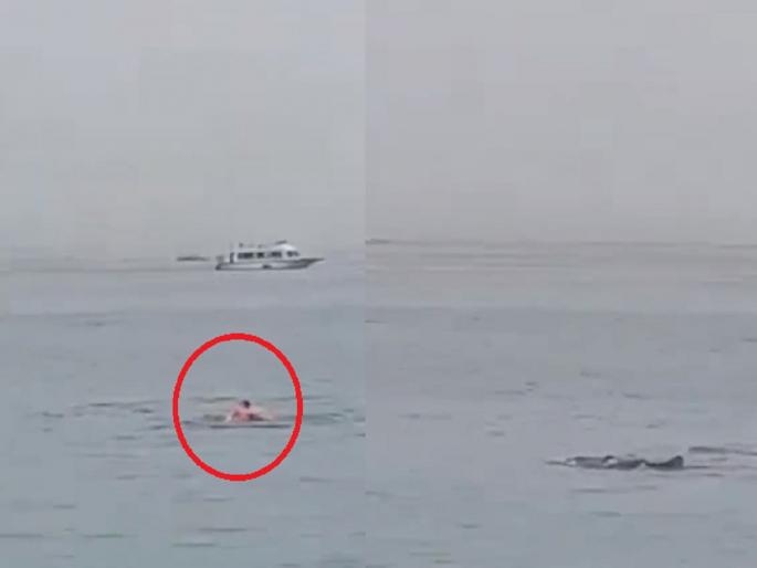 Russian tourist dies in a shark attack in Egypt, Live incident caught on camera | शार्कच्या हल्ल्यात पर्यटकाचा मृत्यू, तोडले लचके, पाण्यावर रक्तच रक्त; लाईव्ह घटना कैमेऱ्यात कैद... Russian tourist dies in a shark attack in Egypt, Live incident caught on camera | शार्कच्या हल्ल्यात पर्यटकाचा मृत्यू, तोडले लचके, पाण्यावर रक्तच रक्त; लाईव्ह घटना कैमेऱ्यात कैद...