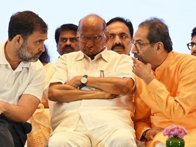 NDA MP angry? Will Lok Sabha elections be held again? Important statement of Sharad Pawar, also reaction on t20 world cup win team india | एनडीएचे खासदार नाराज? पुन्हा लोकसभेची निवडणूक लागणार? शरद पवारांचे महत्वाचे वक्तव्य NDA MP angry? Will Lok Sabha elections be held again? Important statement of Sharad Pawar, also reaction on t20 world cup win team india | एनडीएचे खासदार नाराज? पुन्हा लोकसभेची निवडणूक लागणार? शरद पवारांचे महत्वाचे वक्तव्य