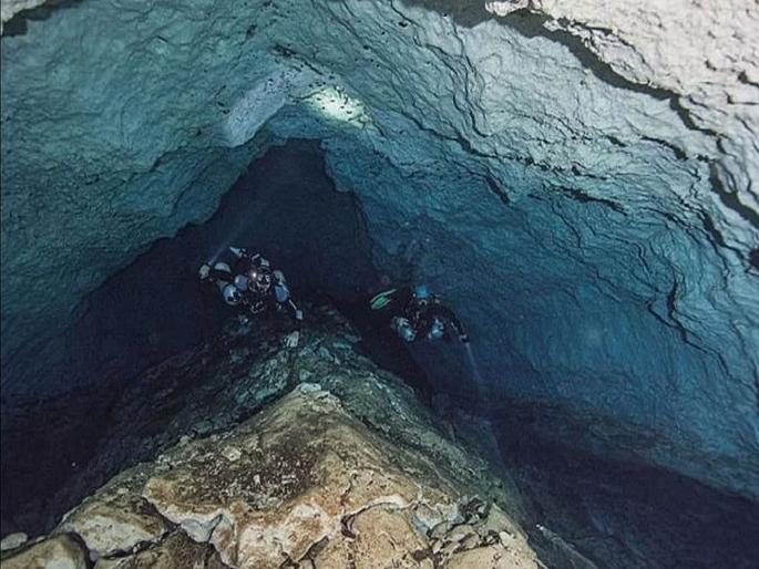 25 lakh year old shark dental fossils found in underwater sinkhole in gulf of mexico | समुद्राच्या खोल गुहेत उतरले होते वैज्ञानिक, २५ लाख वर्ष जुन्या गोष्टी पाहून झाले हैराण.... 25 lakh year old shark dental fossils found in underwater sinkhole in gulf of mexico | समुद्राच्या खोल गुहेत उतरले होते वैज्ञानिक, २५ लाख वर्ष जुन्या गोष्टी पाहून झाले हैराण....