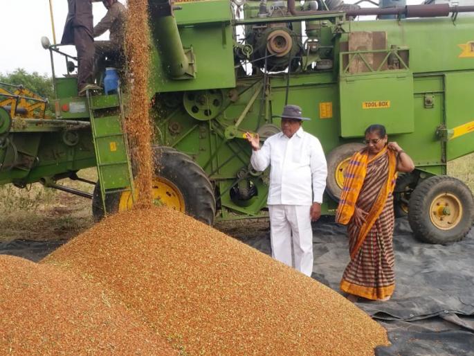 Planned farming; Record production of last year's lentil turtle | नियोजनबद्ध शेती; गतवर्षी पेटविलेल्या तुरीचे यंदा घेतले विक्रमी उत्पादन Planned farming; Record production of last year's lentil turtle | नियोजनबद्ध शेती; गतवर्षी पेटविलेल्या तुरीचे यंदा घेतले विक्रमी उत्पादन