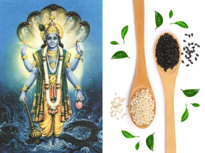 The importance of Shattila Ekadashi is also given in Padma Purana; Read detailed information, stories and worship! | पद्म पुराणातही दिले आहे षटतिला एकादशीचे महत्त्व; वाचा सविस्तर माहिती, कथा आणि उपासना! The importance of Shattila Ekadashi is also given in Padma Purana; Read detailed information, stories and worship! | पद्म पुराणातही दिले आहे षटतिला एकादशीचे महत्त्व; वाचा सविस्तर माहिती, कथा आणि उपासना!