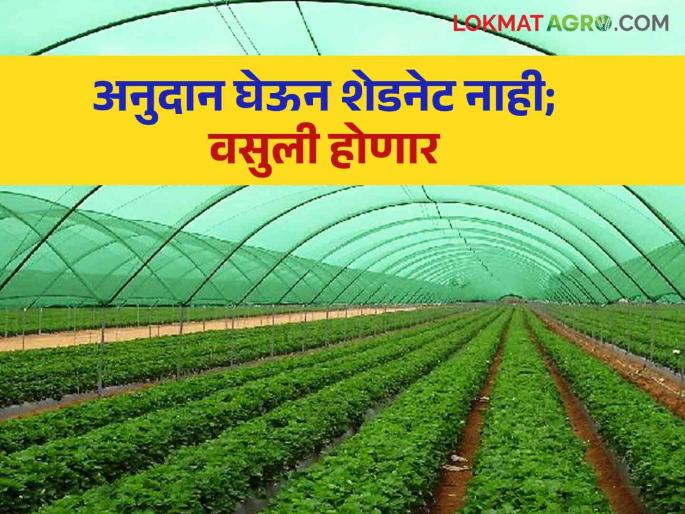 It is necessary to build while availing the benefit of the scheme | Shednet scheme : योजनेचा लाभ घेतांना उभारणी करणे गरजेची It is necessary to build while availing the benefit of the scheme | Shednet scheme : योजनेचा लाभ घेतांना उभारणी करणे गरजेची