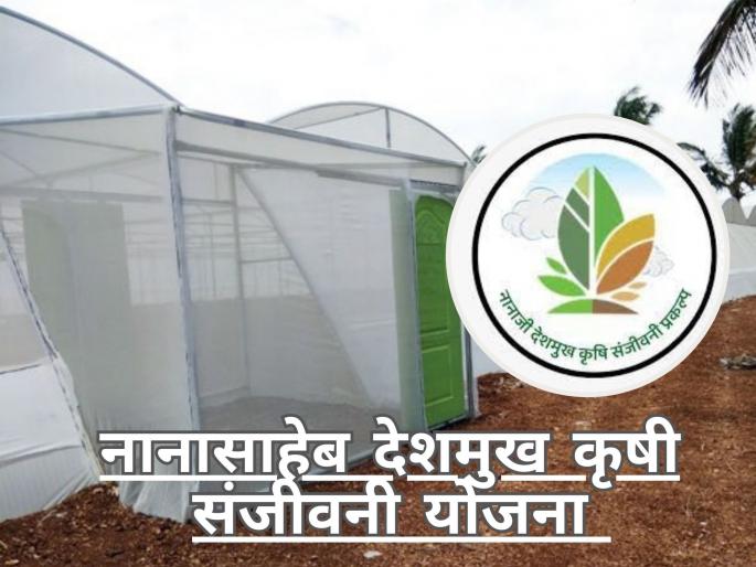 Latest News Shednet scheme in Nanasaheb Deshmukh Krishi Sanjeevani Yojana? | नानासाहेब देशमुख कृषी संजीवनी योजना आहे तरी काय? Latest News Shednet scheme in Nanasaheb Deshmukh Krishi Sanjeevani Yojana? | नानासाहेब देशमुख कृषी संजीवनी योजना आहे तरी काय?
