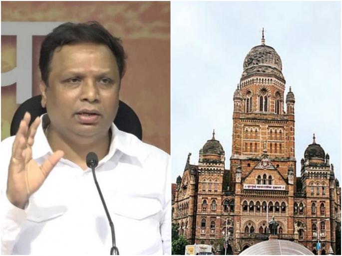Why the money spent on coronavirus relief of 1600 crores not accounted by the bmc is not given bjp ashish Shelar question | पालिकेने खर्च केलेल्या १६०० कोटींचा हिशोब का दिला जात नाही?; शेलारांचा सवाल Why the money spent on coronavirus relief of 1600 crores not accounted by the bmc is not given bjp ashish Shelar question | पालिकेने खर्च केलेल्या १६०० कोटींचा हिशोब का दिला जात नाही?; शेलारांचा सवाल
