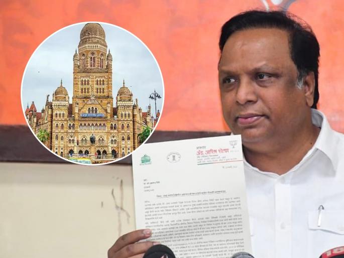 SIT probe corruption exposed in cag report mumbai municipal corporation bmc work tenders bjp ashish shelar demands savarkar yatra | "कँगच्या अहवालात उघड झालेल्या भ्रष्टाचाराची एसआयटीमार्फत चौकशी करा" SIT probe corruption exposed in cag report mumbai municipal corporation bmc work tenders bjp ashish shelar demands savarkar yatra | "कँगच्या अहवालात उघड झालेल्या भ्रष्टाचाराची एसआयटीमार्फत चौकशी करा"