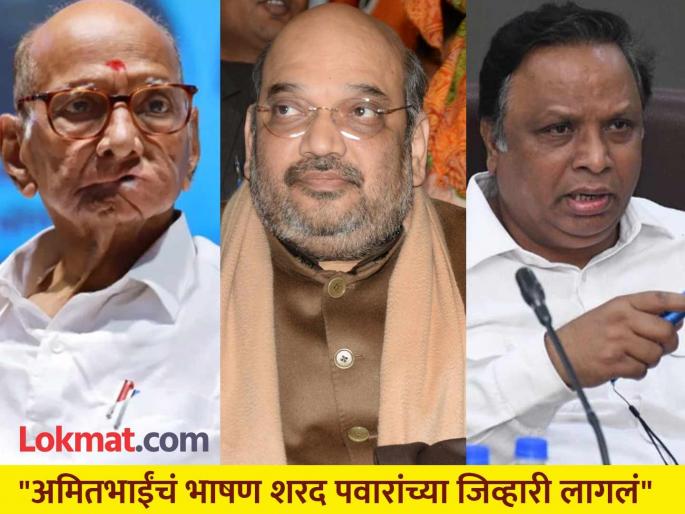 Sharad Pawar criticizes Amit Shah, BJP leader Ashish Shelar targeted Sharad Pawar and Mahavikas Aghadi | विश्वासघातकी राजकारणाचे जनक कोण? महाराष्ट्राने तुम्हाला हद्दपार केले; भाजपाचा पलटवार Sharad Pawar criticizes Amit Shah, BJP leader Ashish Shelar targeted Sharad Pawar and Mahavikas Aghadi | विश्वासघातकी राजकारणाचे जनक कोण? महाराष्ट्राने तुम्हाला हद्दपार केले; भाजपाचा पलटवार