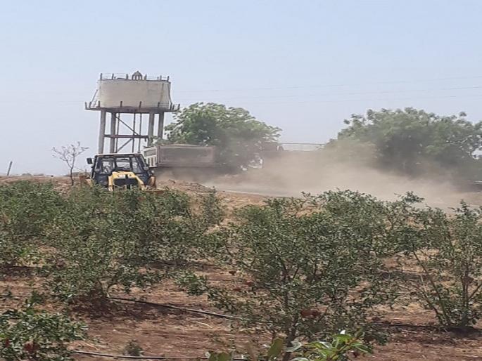 Due to the work of 'Samrudhi' orchards in danger | ‘समृद्धी’च्या कामामुळे फळबागा धोक्यात Due to the work of 'Samrudhi' orchards in danger | ‘समृद्धी’च्या कामामुळे फळबागा धोक्यात