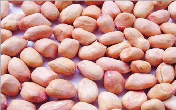 Peanut prices are now averaging Rs 120 per kg | शेंगदाणा निघाला परदेशी, भाजी चमचमीत करायची कशी? Peanut prices are now averaging Rs 120 per kg | शेंगदाणा निघाला परदेशी, भाजी चमचमीत करायची कशी?