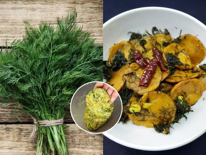 Traditional Maharashtrian recipe How to make crispy and tasty shepu vadi at home Healthy and crunchy Indian side dish | Maharashtrian Food : न खाणारेही खातील आवडीने! खमंग कुरकुरीत शेपूची फळे, पारंपरिक पदार्थ- पचनासही उत्तम