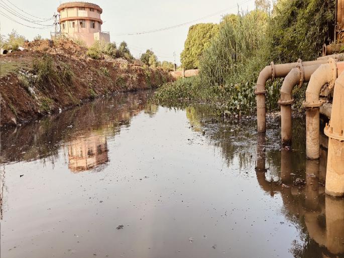 Health problems for citizens due to sewage from Sheri Nala in Sangli | सांगलीकरांचे आजार वाढण्यामागे यंत्रणांचे षडयंत्र?, पैसे घेऊन महापालिकेचा आरोग्याशी खेळ Health problems for citizens due to sewage from Sheri Nala in Sangli | सांगलीकरांचे आजार वाढण्यामागे यंत्रणांचे षडयंत्र?, पैसे घेऊन महापालिकेचा आरोग्याशी खेळ