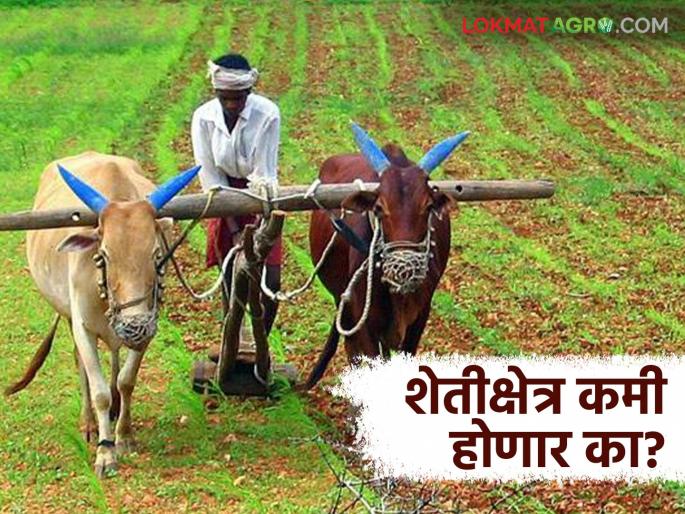 Shet Jamin: What is the reason for the decrease in agricultural land; Know in detail | Shet Jamin: शेतजमीन कमी होण्याचे काय आहे कारण; जाणून घ्या सविस्तर Shet Jamin: What is the reason for the decrease in agricultural land; Know in detail | Shet Jamin: शेतजमीन कमी होण्याचे काय आहे कारण; जाणून घ्या सविस्तर