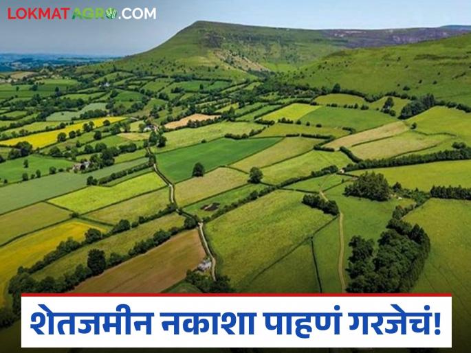 Latest news Shet Jamin Kharedi necessary to see land map while buying agricultural land | तुमच्या जमिनीचा नकाशा ऑनलाईन पहा, आजूबाजूचे गट नंबर, शेतरस्तेही दिसतील 