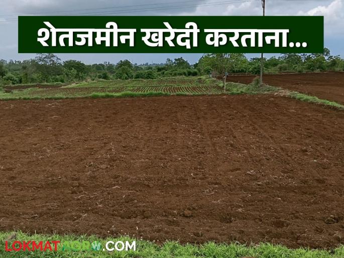 It is important to look at 'these' things on the land register to avoid fraud while buying agricultural land | शेतजमीन खरेदी करताना फसवणूक टाळण्यासाठी सातबाऱ्यावरील 'ह्या' गोष्टी पाहणे महत्वाचे