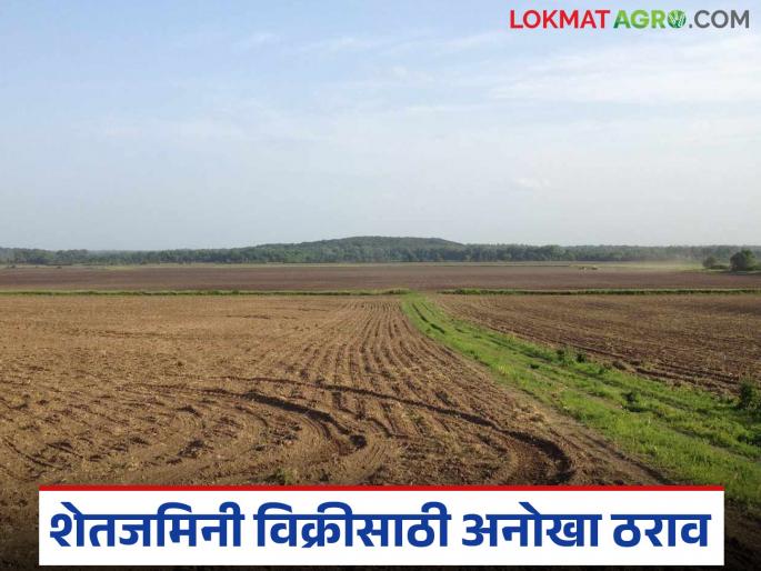 This Gram Panchayat made an important resolution regarding the sale of agricultural land in the village; read the details | गावातील शेतजमिनी विकण्या संदर्भात 'या' ग्रामपंचायतीने केला एक महत्वपूर्ण ठराव; वाचा सविस्तर