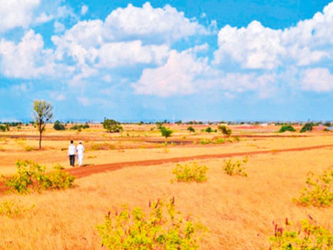 3 lakh 25 thousand hectares of agricultural land has decreased in just five years In Maharashtra | महाराष्ट्रात अवघ्या पाच वर्षांत घटली ३.२५ लाख हे. शेतजमीन  3 lakh 25 thousand hectares of agricultural land has decreased in just five years In Maharashtra | महाराष्ट्रात अवघ्या पाच वर्षांत घटली ३.२५ लाख हे. शेतजमीन