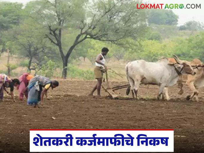 Latest News Shetkari Karjmafi Farmer loan waiver will be available only if he is not an income tax payer. | Shetkari Karjmafi : 'ही' अट पूर्ण केली तरच शेतकरी कर्जमाफीचा लाभ मिळणार, काय आहे नेमका निर्णय Latest News Shetkari Karjmafi Farmer loan waiver will be available only if he is not an income tax payer. | Shetkari Karjmafi : 'ही' अट पूर्ण केली तरच शेतकरी कर्जमाफीचा लाभ मिळणार, काय आहे नेमका निर्णय