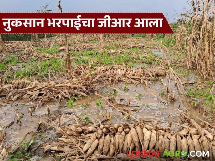 Latest News Nuksan Bharpai Compensation for unseasonal rains from February to May 2025 | Nuksan Bharpai : फेब्रुवारी ते मे 2025 च्या कालावधीत झालेल्या अवकाळी पावसाची नुकसान भरपाई आली