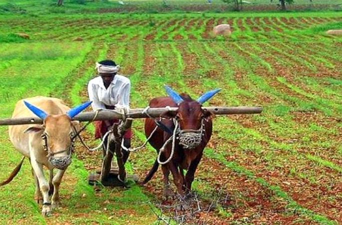 BJP's threat to agriculture business in the state: Shankarna Dhondge | राज्यातील शेती व्यवसायाला भाजप सरकारकडून धोका : शंकरअण्णा धोंडगे BJP's threat to agriculture business in the state: Shankarna Dhondge | राज्यातील शेती व्यवसायाला भाजप सरकारकडून धोका : शंकरअण्णा धोंडगे